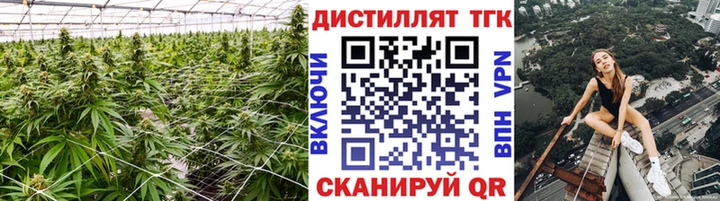ТГК вейп  сколько стоит  Северобайкальск 
