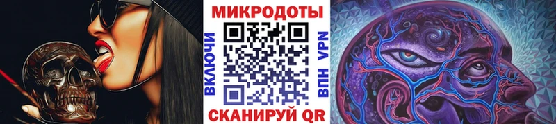 Псилоцибиновые грибы Cubensis  Северобайкальск 